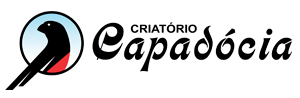 Criatório Capadócia - Criador de Curió - Goiânia/GO